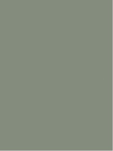 Innovus HPL laminatas BAMBUS L5206 SMA