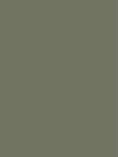 Innovus HPL laminatas CAMOUFLAGE L5207 SMA
