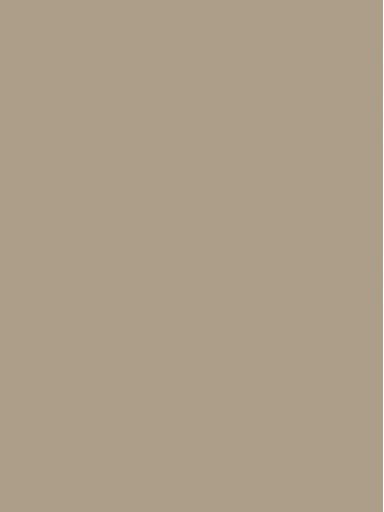 Innovus HPL laminatas GRAUBEIGE L6160 SC