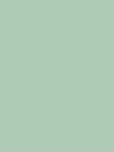 Innovus HPL laminatas MINT L4085 SC