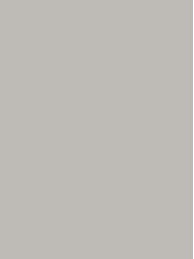 Innovus HPL laminatas PASTEL GREY L4055 SC
