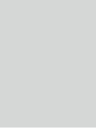 Innovus HPL laminatas SILK LIGHT GREY LS166 SLK