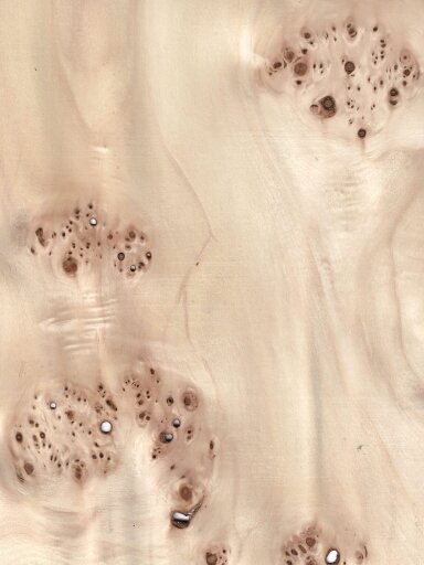 Apsegles finieris